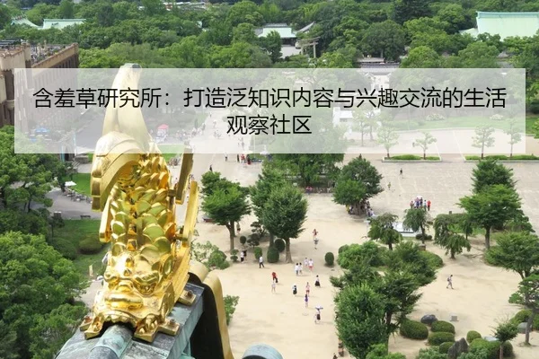 含羞草研究所：打造泛知识内容与兴趣交流的生活观察社区